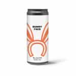 Birra Artigianale Blanche