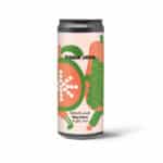 Sour Ale Birra Artigianale