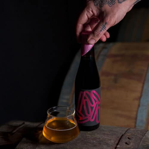 Ring_Light birra artigianale